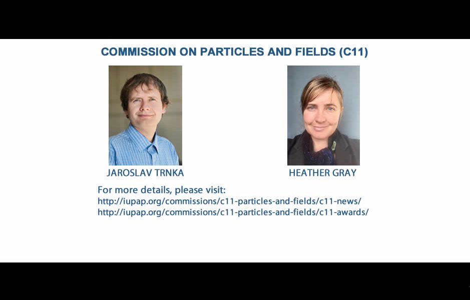 COMMISSION ON PARTICLES AND FIELDS (C11)